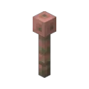 Exposed Lightning Rod